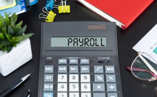 professional-payroll-services-managemen